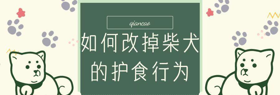 二手柴犬护食器的价格是多少？购买时应注意什么？
