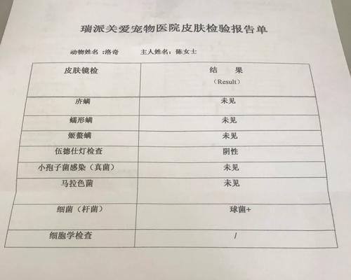 柴犬被咬后主人是否需要打针？费用大概是多少？