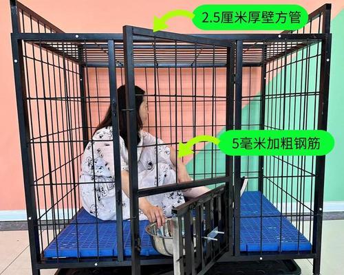 小型犬狗笼饮水的正确方法是什么？