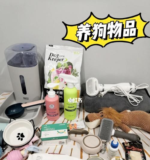 永康宠物店柴犬的价格是多少？购买时需要考虑哪些因素？