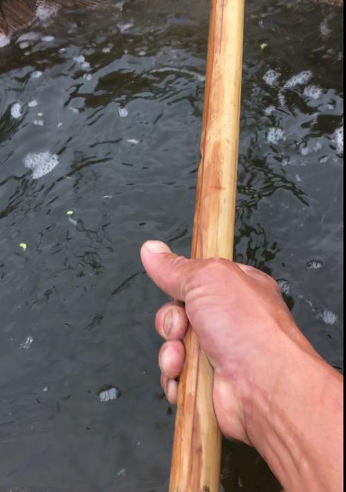 鱼苗筛的作用是什么？如何正确使用鱼苗筛？