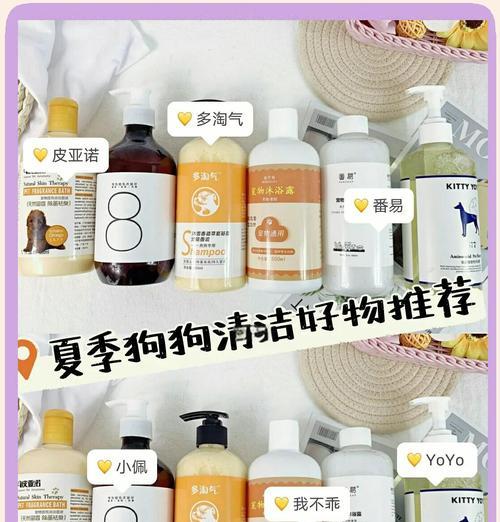 给2个月泰迪剪毛要多少钱？泰迪的毛发护理需要注意什么？