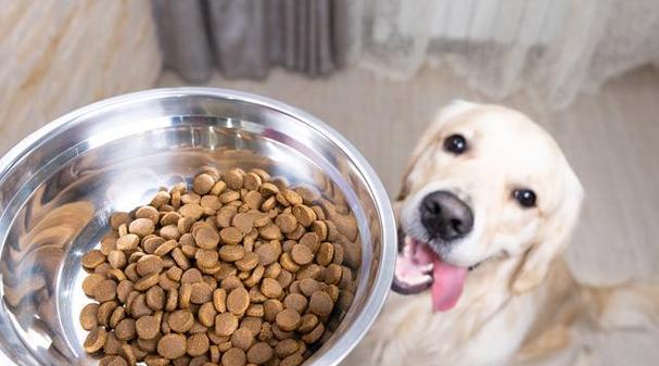 狗吃了猫粮后不吃饭怎么办？如何让狗恢复食欲？