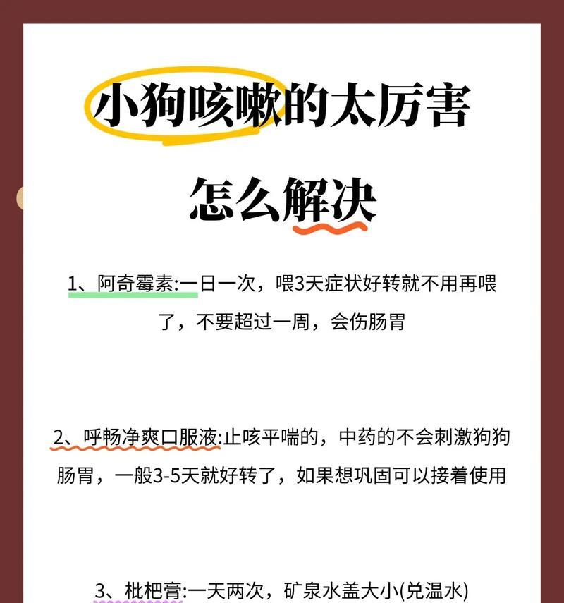 4岁狗咳嗽且不吃硬粮是什么原因？应该怎么办？