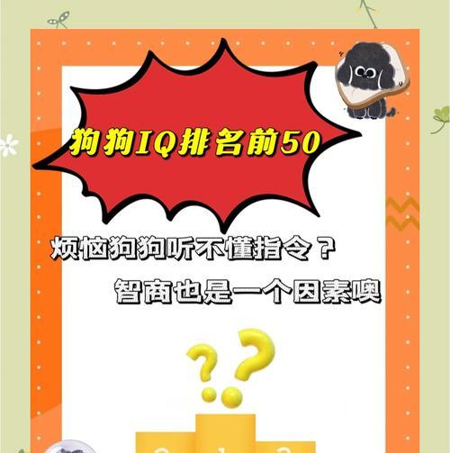 泰迪两岁相当于人类多少岁的智商？它们的智力发展有哪些特点？