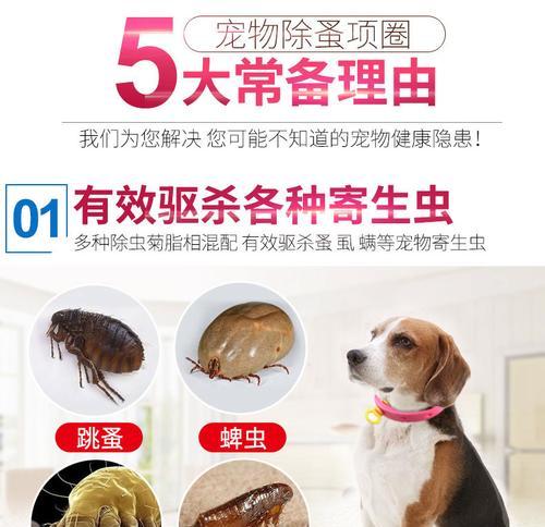 古交地区泰迪驱虫的费用是多少？