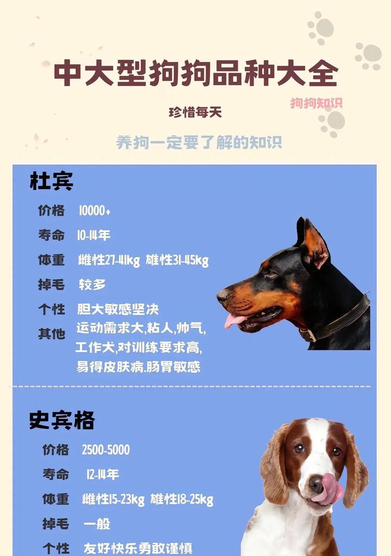 在海南可以养哪些大型犬品种？养犬需要遵守哪些规定？