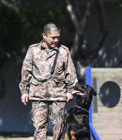 中小型犬服从训练有哪些有效方法？训练中应注意什么？