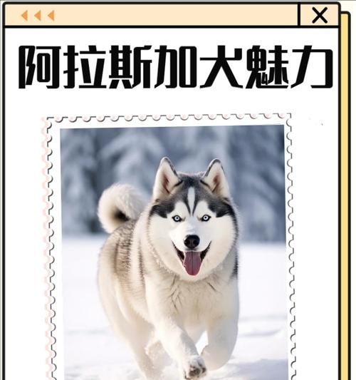 在新疆能见到哪些大型犬品种？它们的特征是什么？
