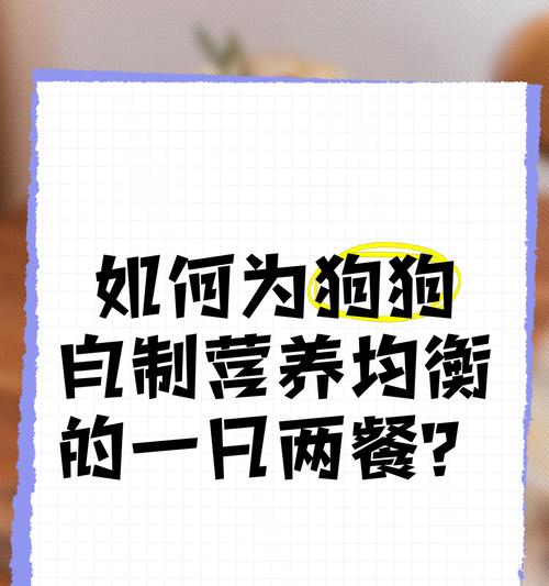 泰迪犬体重5斤时应吃多少鸡胸肉？如何合理安排泰迪的饮食？