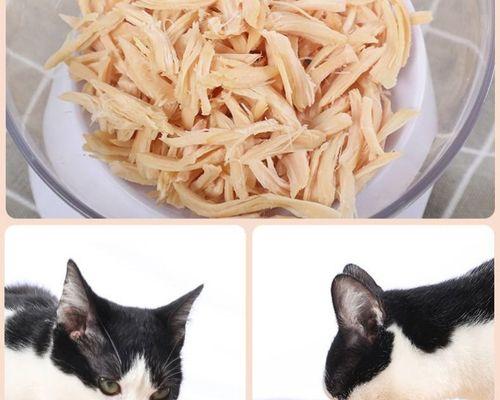 泰迪犬体重5斤时应吃多少鸡胸肉？如何合理安排泰迪的饮食？