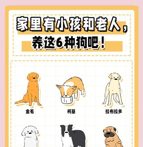 哪些大型犬品种适合与孩子一起成长？选择时应注意什么？