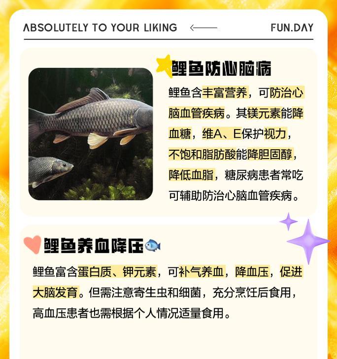 锦鲤鱼苗快速生长的秘诀是什么？怎样促进其成长？