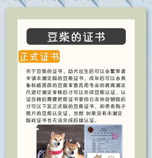 柴犬价格两百元是否合理？购买时应注意哪些问题？