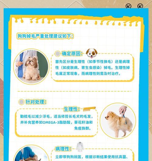 哪些大型犬品种的毛发蓬松可爱？如何护理这些狗狗的毛发？