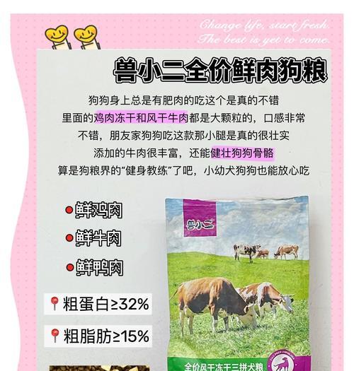 哪些大型犬适合穿不粘毛的宠物衣服？如何选择？