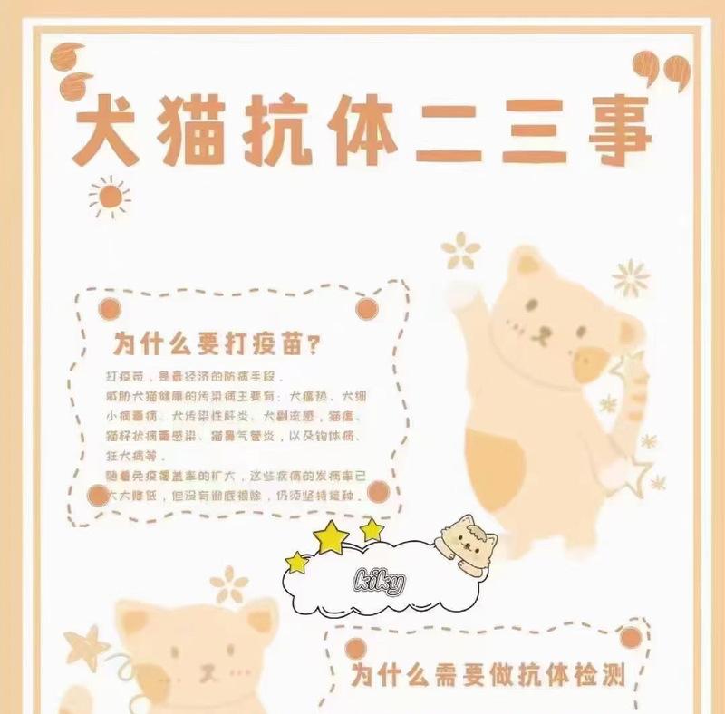 猫为何站在狗身上偷吃猫粮？这种行为背后的含义是什么？