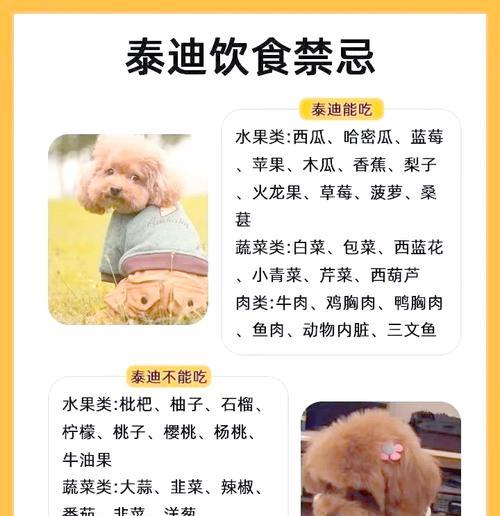 泰迪狗毛修剪费用是多少？修剪前后应注意哪些事项？