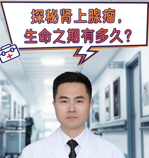泰迪割声带需要多少钱？手术后多久能恢复？