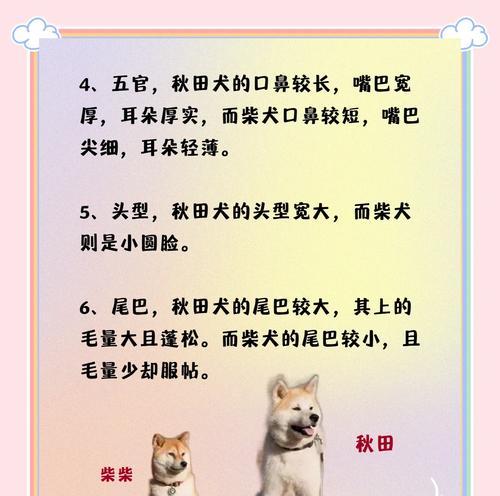 5岁的柴犬一天吃多少？如何合理安排柴犬的饮食？