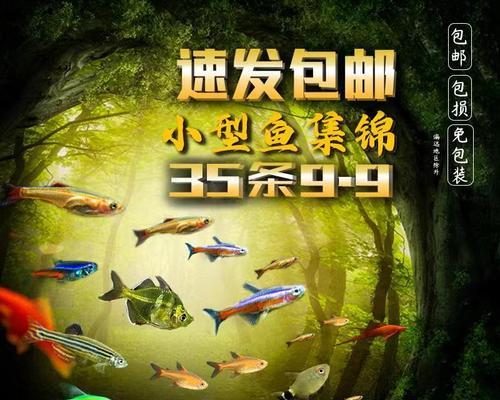 鱼苗出现黑线是什么病征？