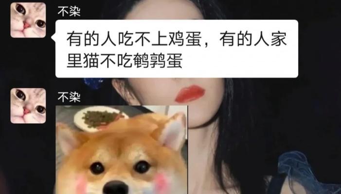 给狗买猫粮不吃了怎么办？