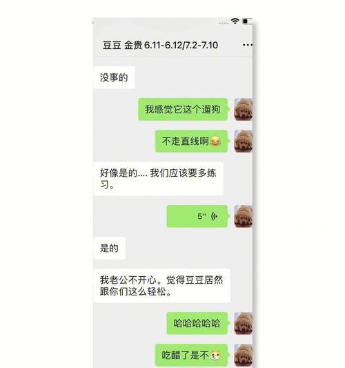 唐山柴犬寄养的费用大概是多少？选择寄养服务时应注意什么？