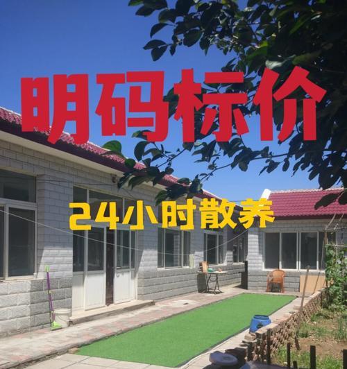 唐山柴犬寄养的费用大概是多少？选择寄养服务时应注意什么？