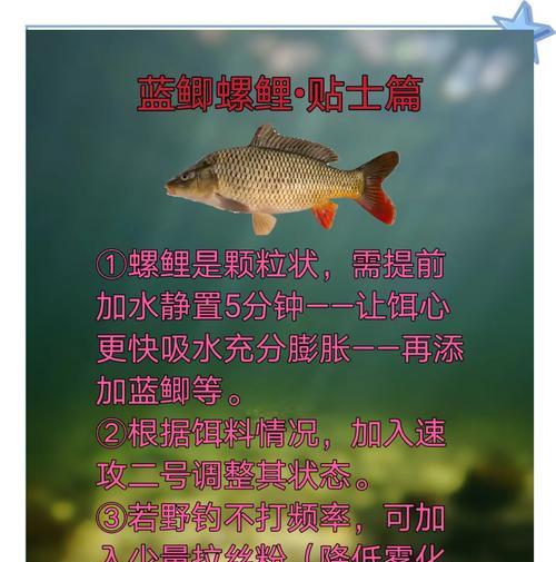 什么季节适合买鱼苗？不同季节购买鱼苗的注意事项是什么？