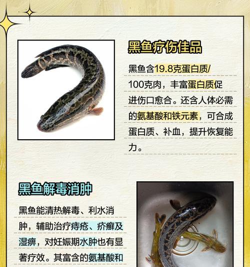 黑鱼苗躲藏不动的原因是什么？如何鼓励它们活动？