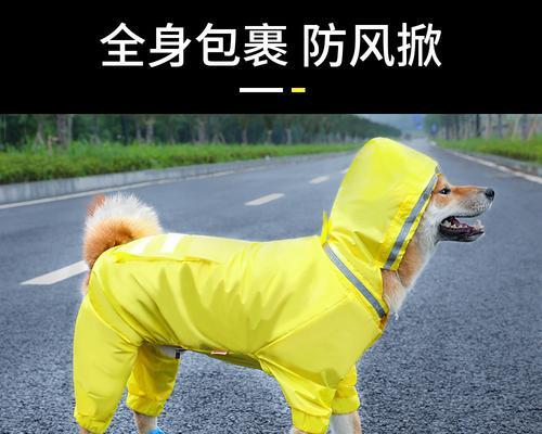 柴犬的防风外套多少钱一件？