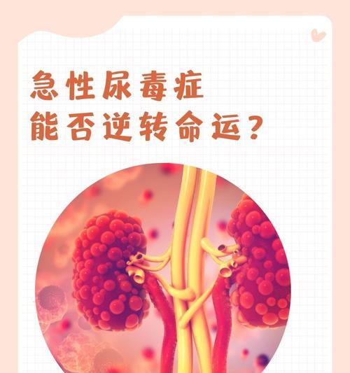 小泰迪软骨病能治愈吗？治疗费用大概是多少？
