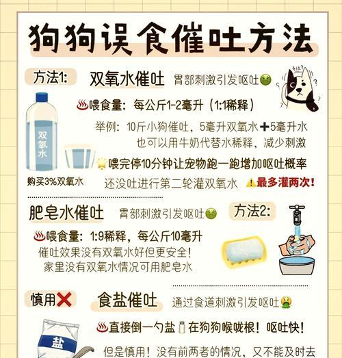 狗突然换粮导致呕吐怎么办？如何正确地给狗狗换粮？