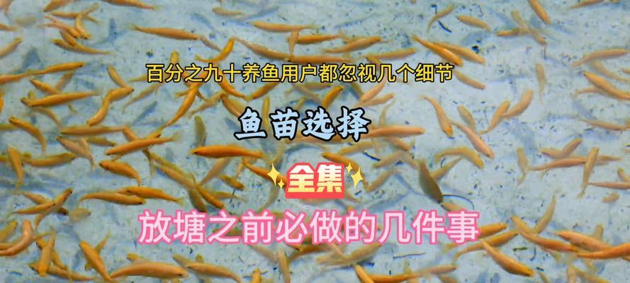 什么食物能让鱼苗快速繁殖？鱼苗的最佳食物是什么？