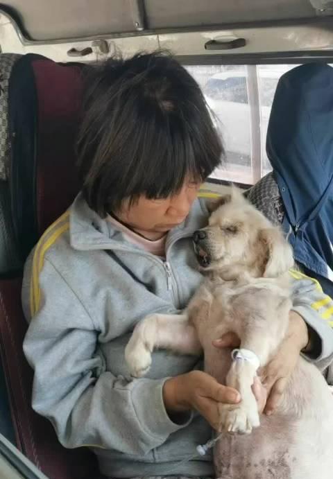 哈尔滨哪里可以给小型犬洗澡？