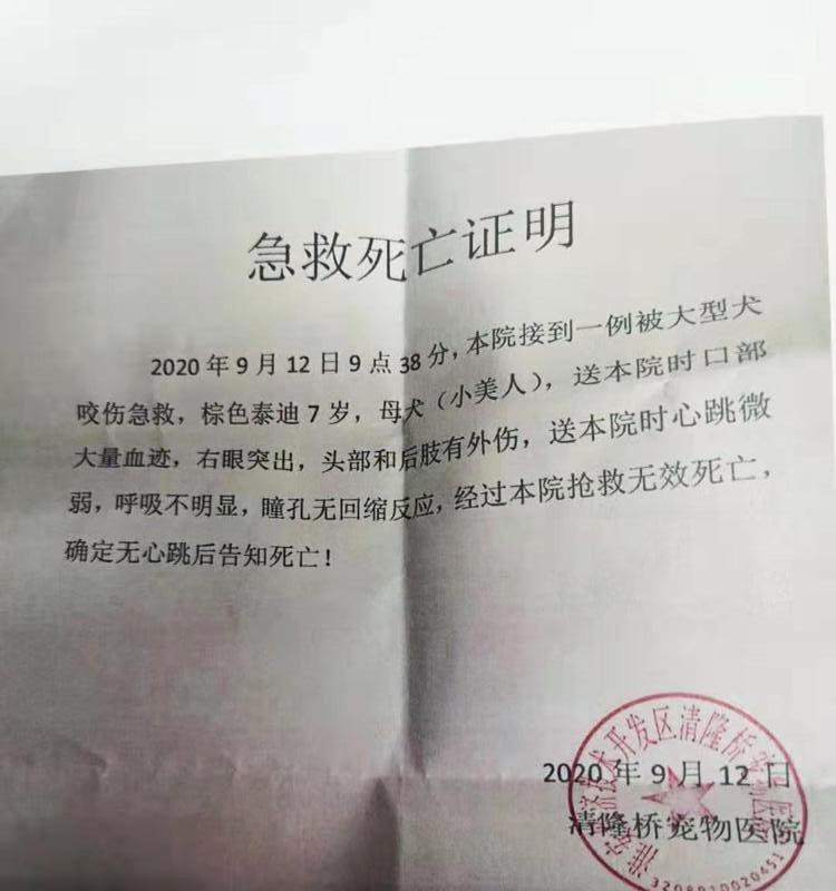 小泰迪断甲在宠物店的费用是多少？