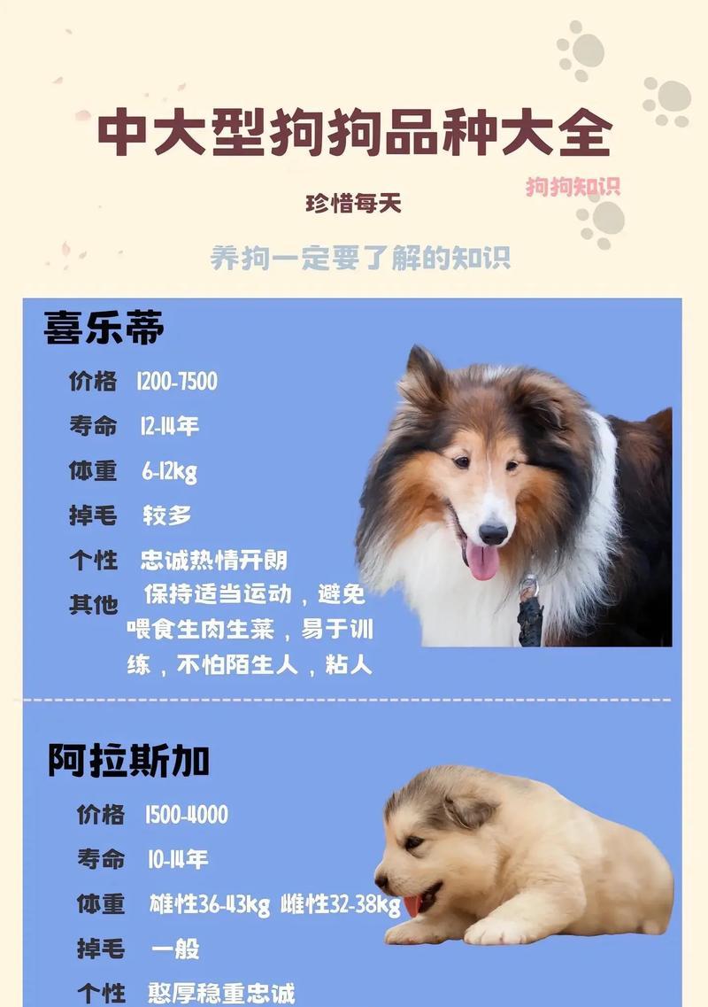 大型犬有哪些品牌好养又便宜？哪些品牌的大型犬性价比高？