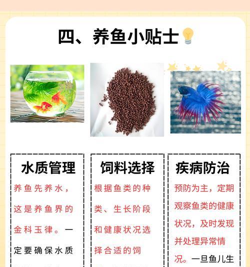 斗鱼苗换水后死亡的原因是什么？如何安全换水？