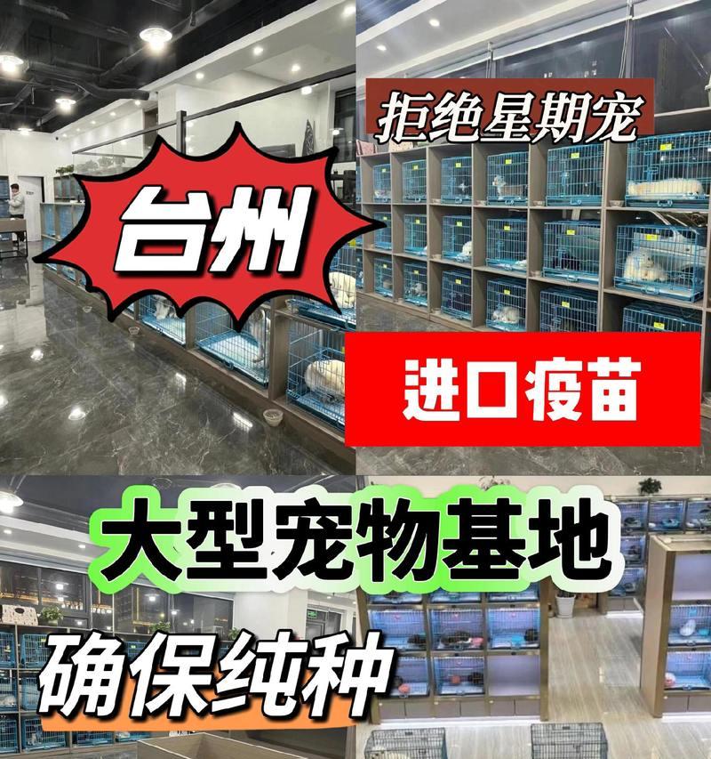 哪里可以收购小毛鱼苗？收购时应该注意哪些问题？