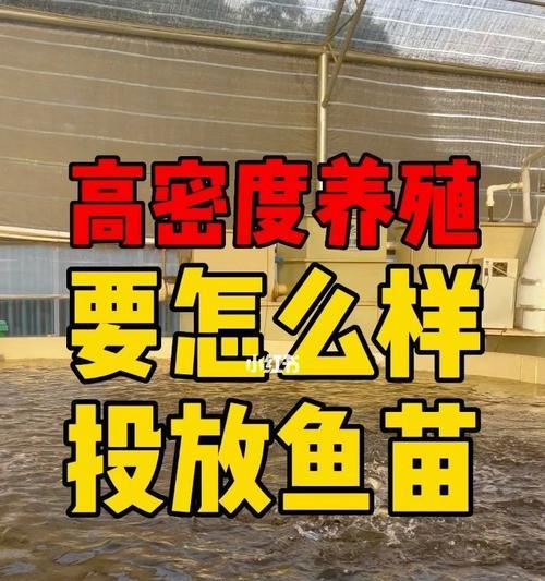 为什么人们选择养鱼而不是种鱼苗？养鱼和种鱼苗的利弊是什么？