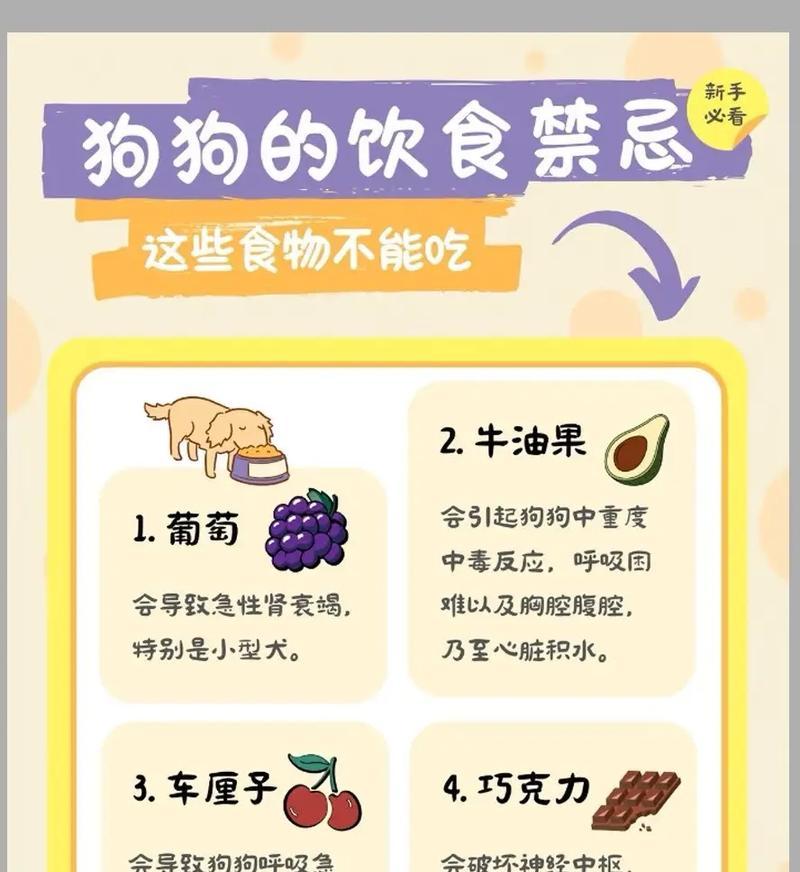 狗为什么不吃泡水粮？不吃泡水粮的原因是什么？
