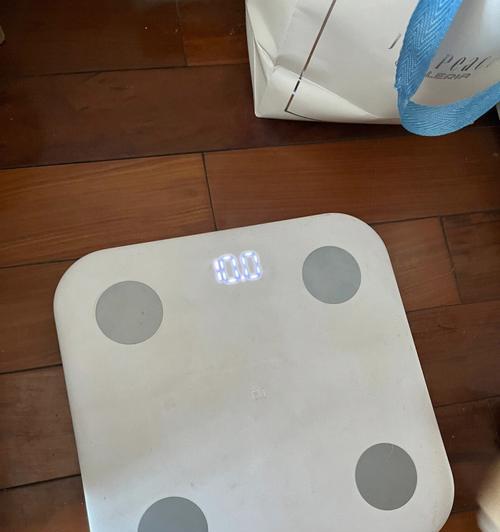 柴犬每日食量如何计算？六斤柴犬的喂食建议是什么？