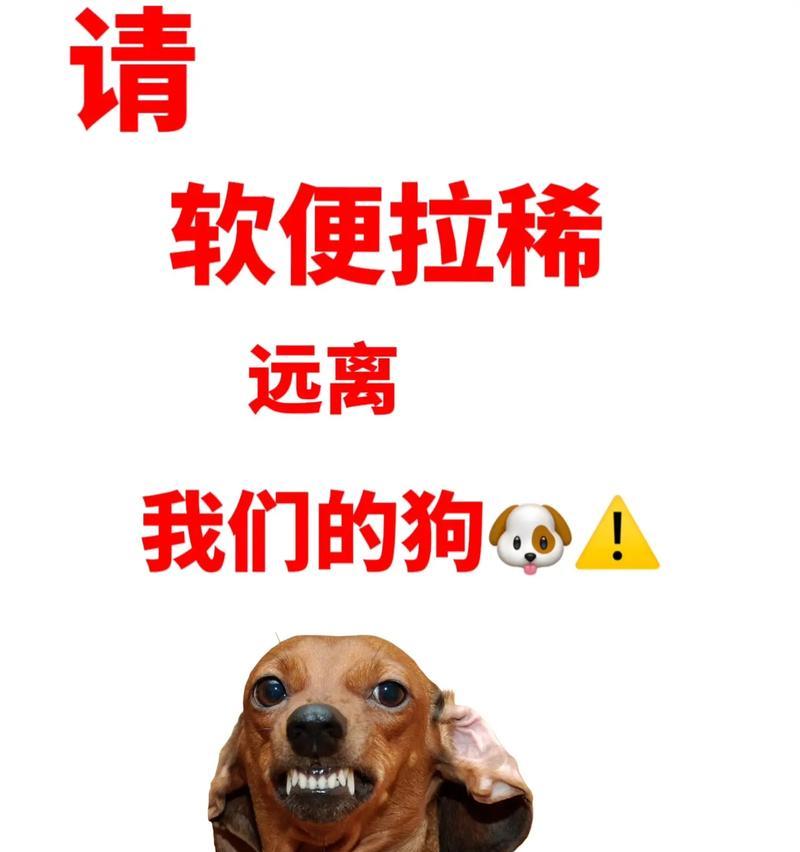 狗换粮后拉软便是什么原因？如何解决狗换粮后的问题？