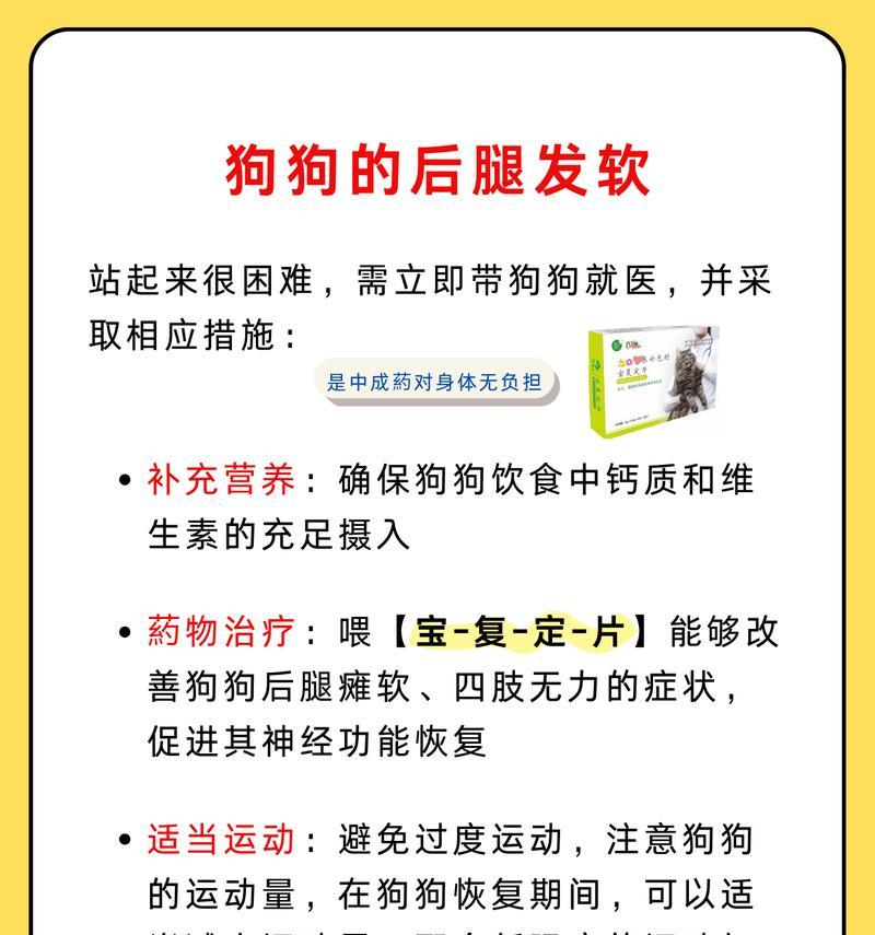 狗换粮后拉软便是什么原因？如何解决狗换粮后的问题？
