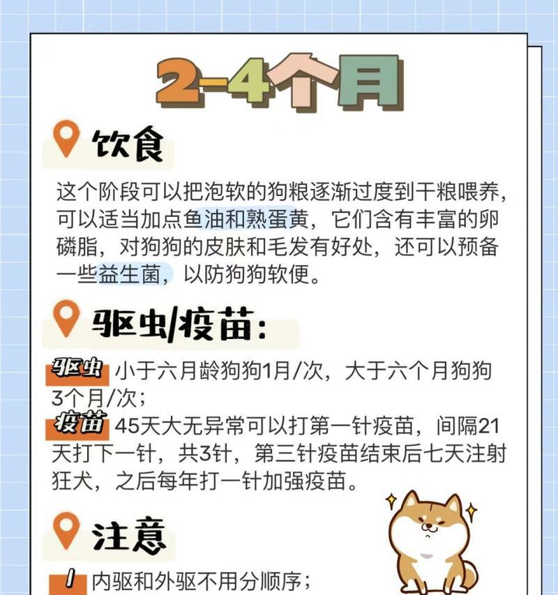柴犬五个月大时应该吃多少粮食？如何判断喂食量是否合适？