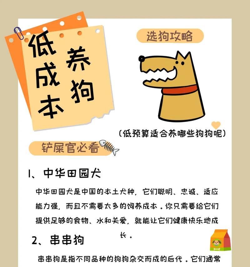 哪些品种适合初次养大型犬的幼犬？大型犬幼犬的饲养要点是什么？