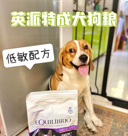 狗繁育怎么弄成犬粮？自制犬粮的正确方法是什么？