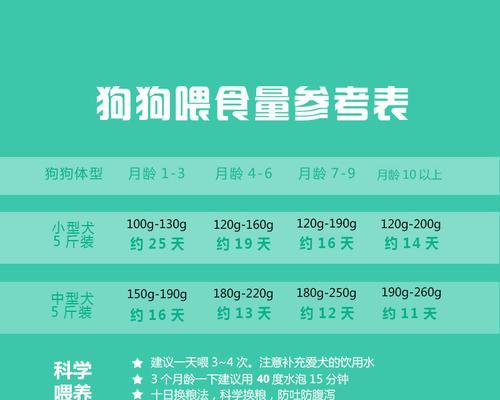 10个月大的泰迪每天应该喂食多少克？如何调整喂食量？