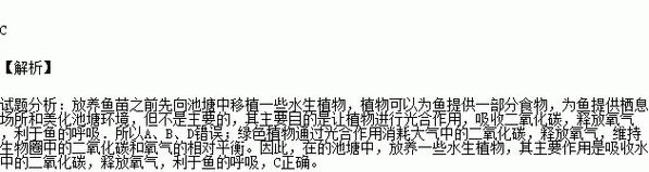 鱼苗为何需要打氧气？