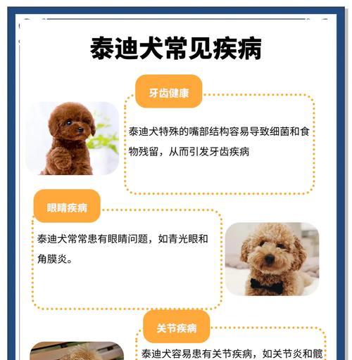 泰迪打狂犬疫苗的费用和注意事项有哪些？